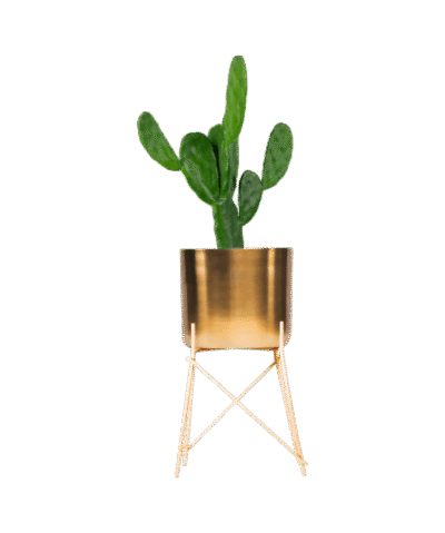 shop-lifestyle-bg-07